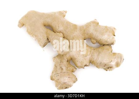 Organic ginger root shown under clean white lighting, enhancing the visibility of its natural patterns. Stock Photo