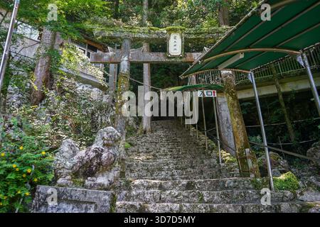 Torii gate and stone stair steps leading to the entrance to the Ryugado Cave in Kami, Kochi, Japan Stock Photo