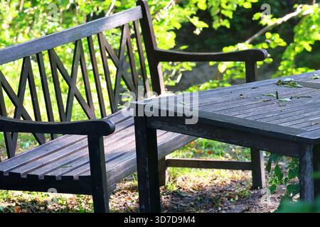 Rustic Wooden Bench and Table in a Sunny Garden Stock Photo