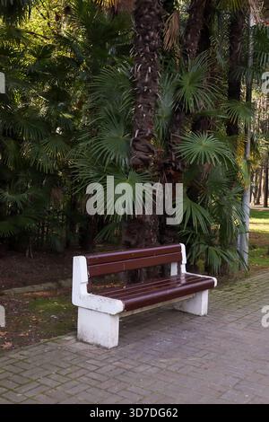 Sturdy outdoor seat made of white cement with brown wooden slats, surrounded by swaying palm leaves in a shaded garden alcove. Stock Photo