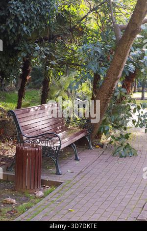Elegant park bench with curved iron legs and wooden slats positioned on a brick walkway, enveloped by palm fronds and autumnal tree leaves. Stock Photo