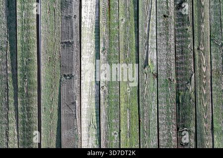 Close-up of aged, rustic wooden planks with green moss and peeling paint, creating a natural textured background ideal for designs and presentations. Stock Photo
