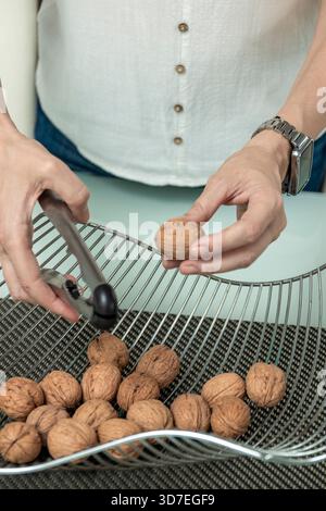Hands cracking walnuts with a nutcracker for a healthy snack or ingredient Stock Photo