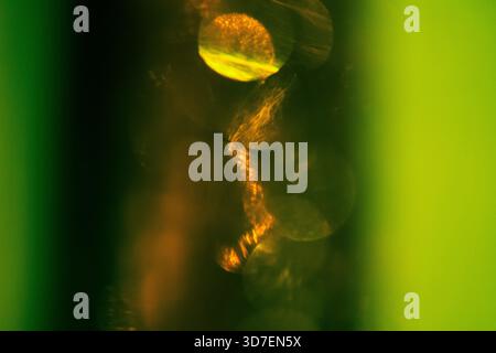 Abstractly green Light leak Texture Background. Blurred defocused. Lo-fi effect. Design mockup Stock Photo