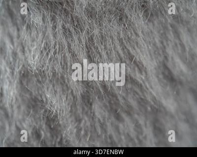 Close up Texture of synthetic fiber on the floor carpet Stock Photo