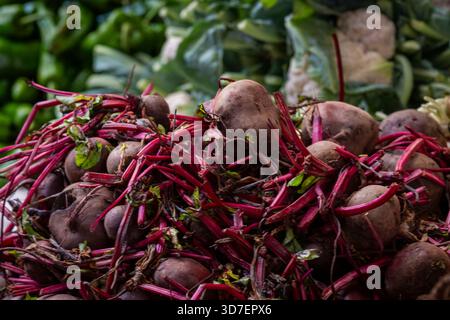 Fresh beetroots with vibrant red stems on display at a local market. Pile of freshly harvested beets with colorful stalks in a vegetable market. Stock Photo