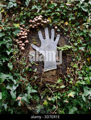 A lead hand & clusters of stump-rotting fungi on the vertical trunk of an ash tree in a woodland garden near Caernarfon, Gwynedd, Wales, UK. Stock Photo