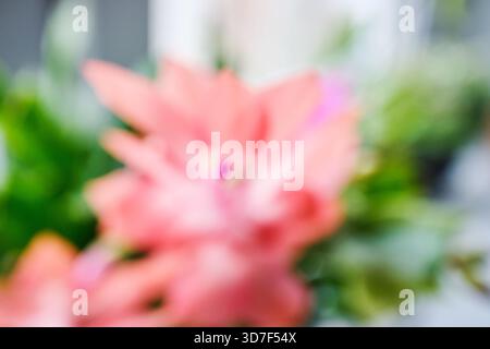 Abstract pink flower blurring with green foliage creating soft bokeh Stock Photo