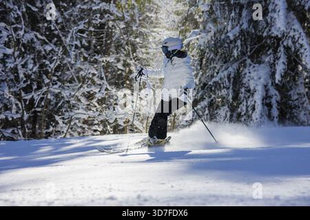 Young skier in white jacket and helmet carving fast turn on snowy forest slope in bright winter sunshine active outdoor sport concept. Stock Photo