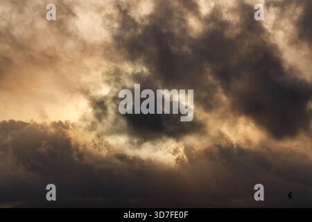 A composition focused solely on the abstract patterns and textures of a cloud-filled sky, dominated by dark grey clouds intermixed with warm, soft ora Stock Photo
