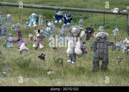 Stuffed toys on a fence along U.S. Hwy. 89 in Pondera County, Montana, USA. Stock Photo
