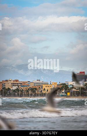 Majorcan coastline with seagulls passing by Stock Photo
