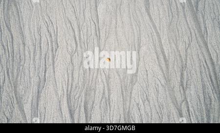 Minimalist sand patterns with a single seashell resting on fine coastal texture Stock Photo