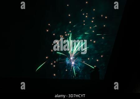 A large, vivid green firework burst showering golden sparks and creating smoke against the dark night sky, adding a unique color element to the celebr Stock Photo