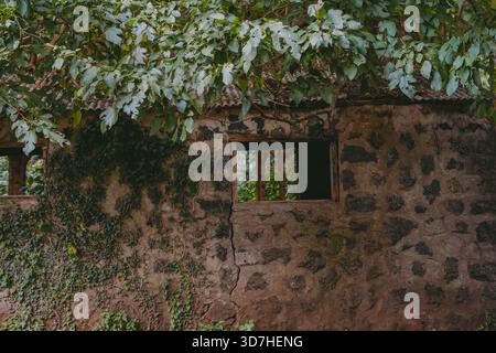 Old Traditional Stone House Wall and Window on Jeju Island, Korea, Covered with Ivy Vines and Tree Leaves Stock Photo