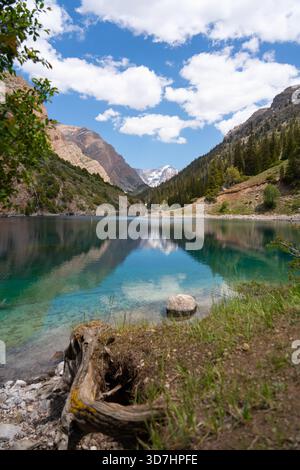 Clear turquoise lake reflecting mountains and sky, with a weathered tree stump and rocky shore in the foreground, creating a natural frame. Stock Photo