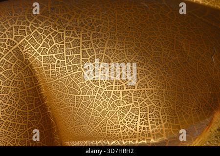 Closeup detail of gold crackle texture with metallic pattern. Abstract aged background surface showing an elegant and luxurious finish with fine netwo Stock Photo