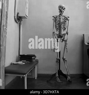 A historical photograph from the 1970-80s, showing an anatomical model of a human skeleton in a classroom or doctor's office at the Slavkurort resort, Ukrainian SSR. This model, standing on a tripod, was a crucial visual aid for medical staff to study anatomy and to explain diagnoses to patients. The image reflects the scientific and educational foundation of the Soviet sanatorium system Stock Photo