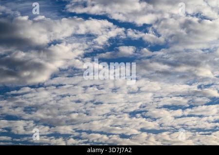 A stunningly beautiful sky adorned with fluffy cumulus clouds floating gracefully against a bright blue background Stock Photo