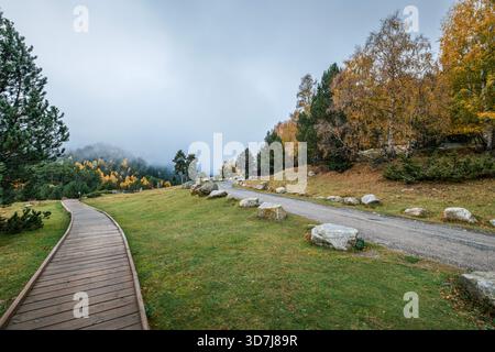 Winding Wooden Boardwalk and Dirt Road Through Autumn Landscape, Misty Forest, Aiguestortes i Estany de Sant Maurici National Park, Pyrenees Stock Photo