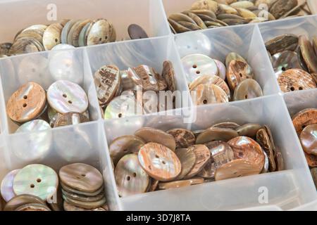 Natural mother-of-pearl buttons arranged in divided box compartments as tailoring supplies in a sewing workshop Stock Photo
