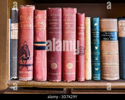 Close-up of a row of vintage books on equestrianism, hunting, and rural sports neatly arranged on a wooden bookshelf Stock Photo