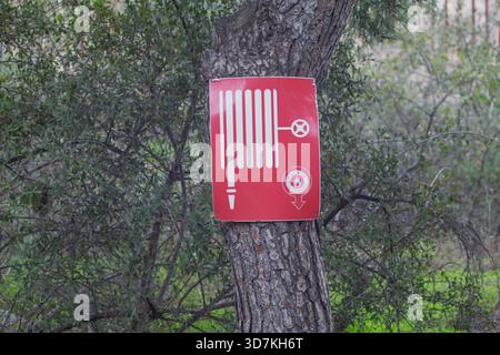 Red fire hose safety sign with boca de incendio written in spanish, attaching on a pine tree trunk in a forest Stock Photo