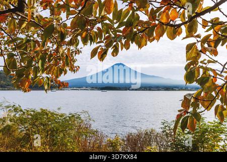 Mount Fuji rises beyond a lakeshore while colorful autumn leaves frame the scenic landscape in the foreground. Stock Photo