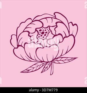 Charming doodle-style pink peony flowers, beautifully illustrated on a gentle light pink background. Stock Vector