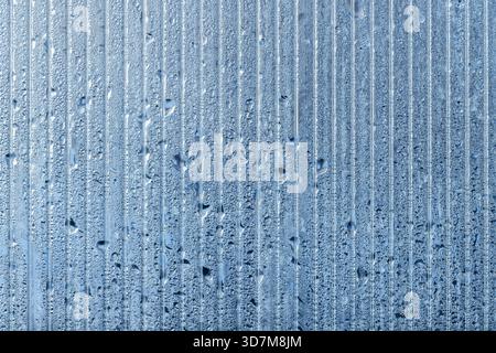 Greenhouse wall made of transparent polycarbonate is covered with water droplets. Abstract background photo texture Stock Photo