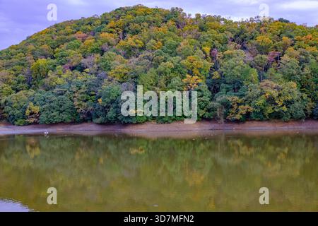 Scenic Autumn Forest Reflected on Calm Lake Water Surface with Lush Colorful Trees Stock Photo