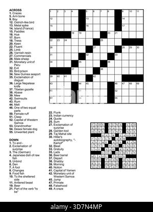 Crossword puzzle game with 13 x 13 squares with clues and solution. Stock Vector