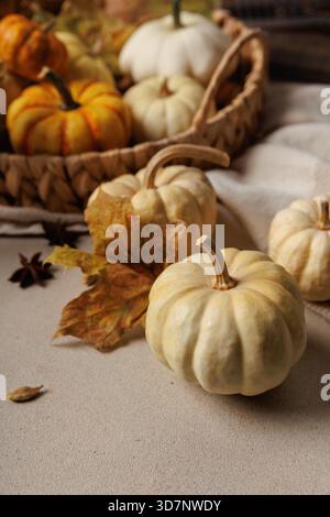 Closeup of white pumpkins and dry leaves in autumn setting.. Stock Photo