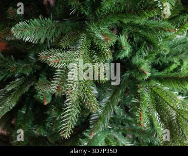 Artificial Christmas tree branches forming a lush green background, representing winter holidays, festive decorations, and sustainable celebration without natural foliage Stock Photo