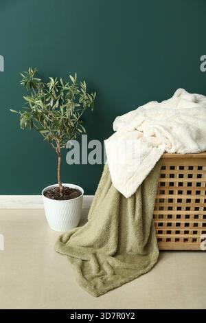 New soft blankets on basket and houseplant near green wall in room Stock Photo