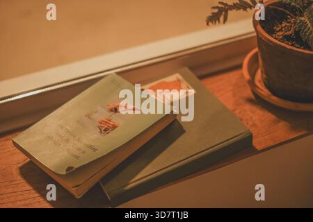 Close-up of Vintage Books and a Potted Fern on a Wooden Windowsill with Warm Light Stock Photo