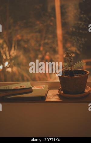 Close-up of Vintage Books and a Potted Fern on a Wooden Windowsill with Warm Light Stock Photo