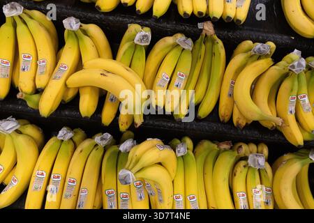 Bunches of Bananas on Display in Grocery Store Produce Aisle Stock Photo