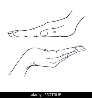Two hands side view, hand drawn on white background Stock Vector