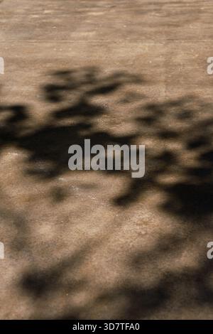 Abstract patterns of dappled leaf shadows falling on a rough, textured concrete surface. Diffused sunlight creates a serene play of light and shade. Stock Photo