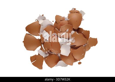 Broken Egg shells Stock Photo