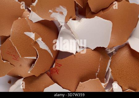 Broken Egg shells Stock Photo