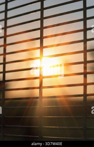 Golden hour sunlight beams dramatically through an outdoor fence, creating warm abstract patterns and shadows Stock Photo