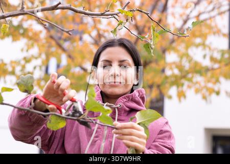 Woman in pink jacket pruning branches with autumn leaves in the background Germany Stock Photo