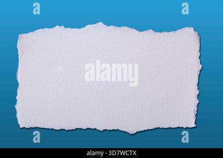 Blank white torn paper on gradient background Stock Photo