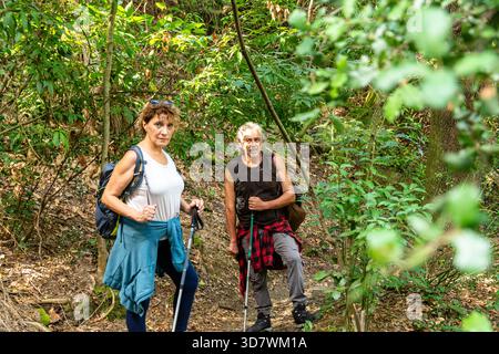 Senior couple enjoying nature while hiking in forest Stock Photo