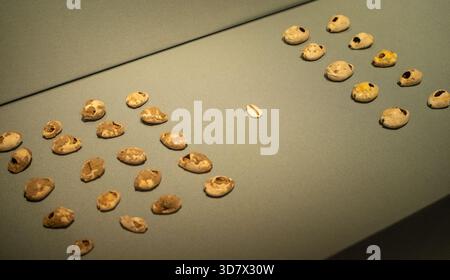 Seashell. Excavated from the Liulihe site in Beijing. Western Zhou Period (1046 BCE - 771 BCE) Stock Photo