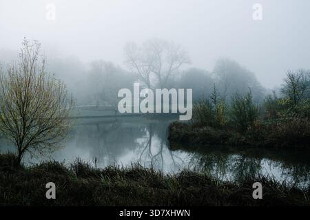 Misty morning on Hampstead Heath London Stock Photo