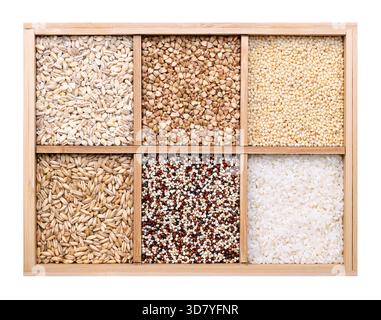 Common types of grains in wooden box. Six types of raw dried grains. Pearl barley, buckwheat, pearl millet, oat, quinoa seeds, and short-grain rice. Stock Photo