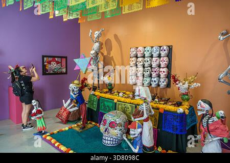 Mexico City Mexico, Coyoacan Avenida Miguel Hidalgo, National Museum of Popular Culture Museo Nacional de Culturas Populares, festival of Puebla Pobla Stock Photo
